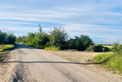 TEREN INTRAVILAN |  1000 mp | CORBEANCA | TAMASI | PADURE | - 2