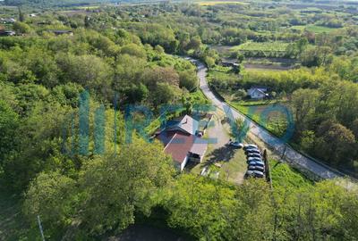 Casă/ Vilă de vânzare in Neamț - 39
