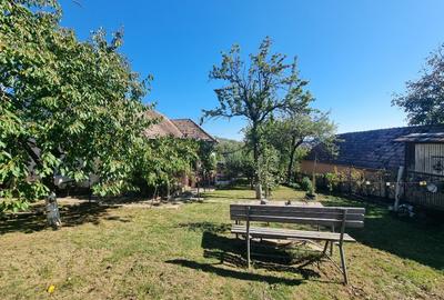 Casa 4 camere + teren 7500 mp - 3