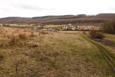 RECO teren intravilan Betfia – ideal pentru casa sau investitie - 7