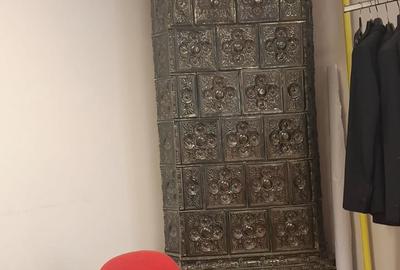 Noblețe Arhitecturală și Oază Verde: O Moștenire Vie cu Grădină Privată - 11