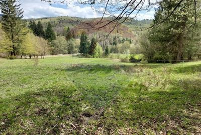 Poienita 2800mp, Covasna, zona hotel Clermont, inconjurat de padure - 21