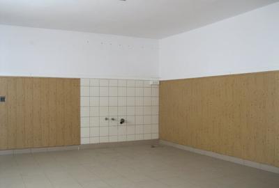 HALE SI SPATIU ADMINISTRATIV DE INCHIRIAT ZONA GARII SIBIU - 10