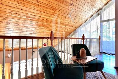 Vila impresionanta 605 mp, curte 2191 mp, dublu acces auto, garaj - 6