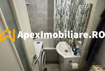 Apartament 2 camere de inchiriat Lacul Tei București | ApexImobiliare.ro - 6