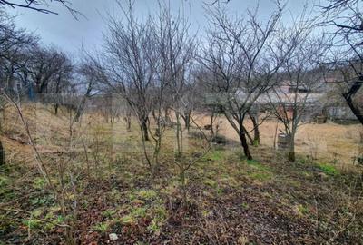 Casa cu teren generos în Ceanu Mic – 1.700 mp, la doar 20 km de Cluj-Napoca - 3