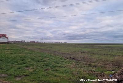 Corbu- Teren 2500mp la intrare in localitate pe dreapta - 14