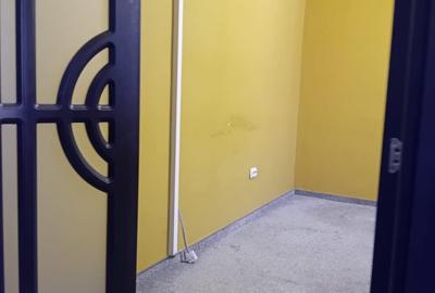 Vila spatioasa cu centrala si curte proprie -  Parcul Carol - 16