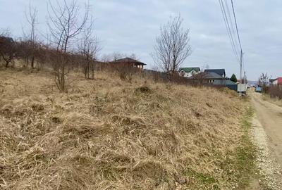 Vanzare Teren Intravilan 850 mp Șoseaua Barnova Super Priveliste - 1