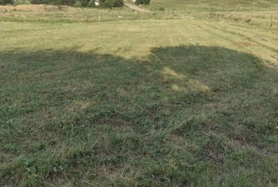 Teren extravilan 2000 mp,spre vanzare- Rusciori-5km  -Autostrada - 1