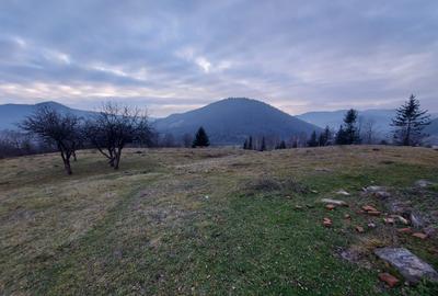 Teren agricol extravilan de 53360 mp, în Vama