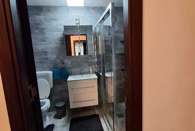 Apartament 2 camere Dristor - 2