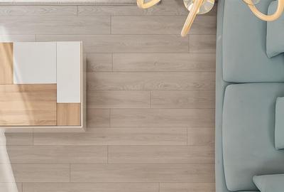 Vila eleganta   Iancu Nicolae   proximitate padure - 9