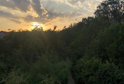 Chiajna, vila P+E+M, teren 900 mp,  359000 Euro - 18