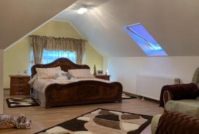 CASA SUPERBA 460mp, teren 15 ari! In Baia Sprie! - 10