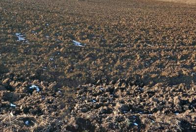 Teren Construcții intravilan de 10000 mp, în Central