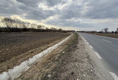Teren extravilan | Rădăuți | 36 ARI - 2