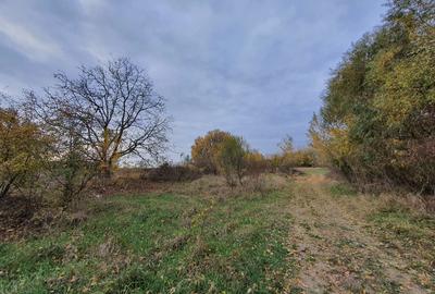 Teren de vânzare “Dumbrava Minunata” în Domnesti, Ilfov - 13