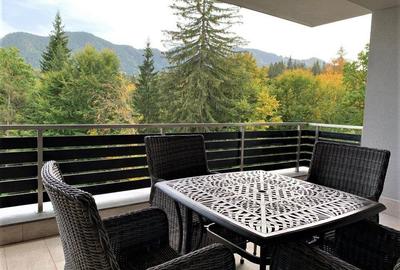 Apartament deosebit cu trei camere Silver Mountain - 1