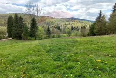 Poienita 2800mp, Covasna, zona hotel Clermont, inconjurat de padure - 2