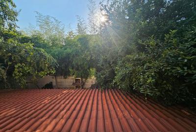 INCHIRIERE VILA 3 CAMERE ZONA IANCU NICOLAE! - 22