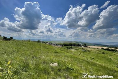 Teren superb in Salicea, 3695 mp, PUZ, drum, apa si curent, zona “La Mesteceni” - 4