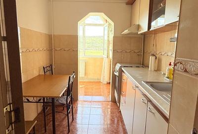 APARTAMENT CU 2 CAMERE DECOMANDAT, STR. STRAMOSILOR, DACIA - 12