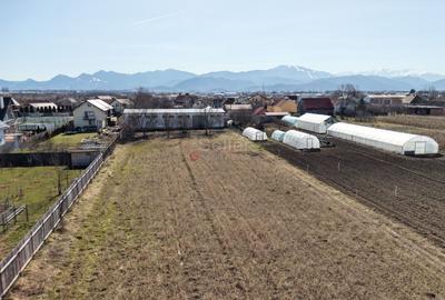 Teren intravilan cu hala construita - 25