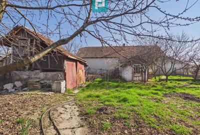 Casă cu 3 camere din văiugă în Macea - 18