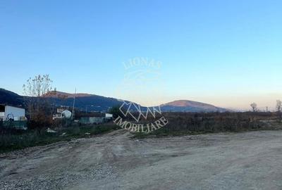 Teren 5300 mp-ideal hala, agricultura, investitie-Zona Groapa Saratii - 1