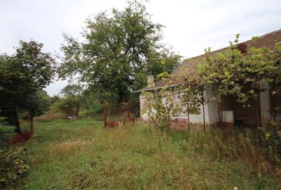 Teren de vânzare - 1900 mp Dumbravita - 6