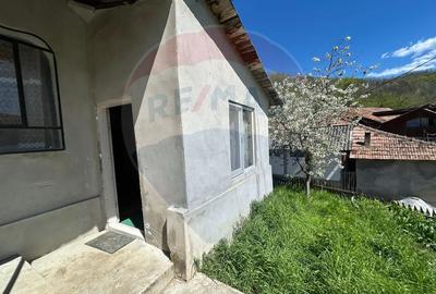 Casa bunicilor, cu gradina, Lera, Buzau! - 10