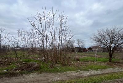 Teren constructii (Palazu -Fost Comcereal)790 mp/22 deschidere, CASE IN JUR - 1