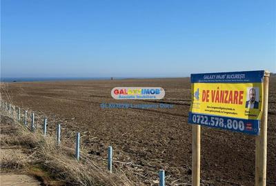 Teren intravilan 47.400 mp, Vama Veche, 200 m de Marea Neagra - 11
