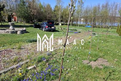 Teren Intravilan | 1150 mp | Săliște - 7