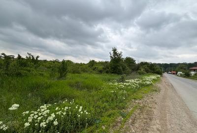 Terenul dintre 2 lacuri – 1000 mp în Mogoșoaia, la 5 minute de pădure - 4