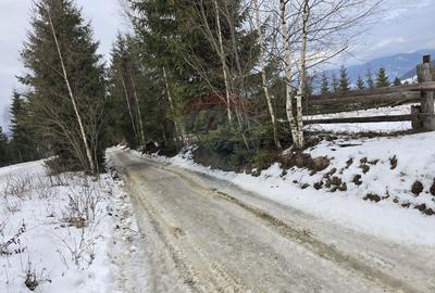 Teren 3,868mp Dorna-Arini / Strada Principala - 3