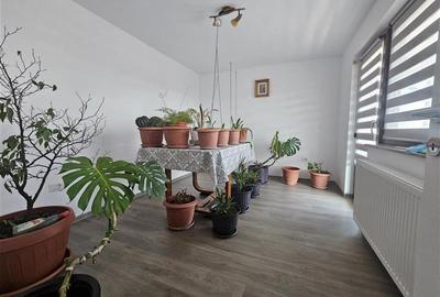 Vila + casa, Magura, Lux - 13