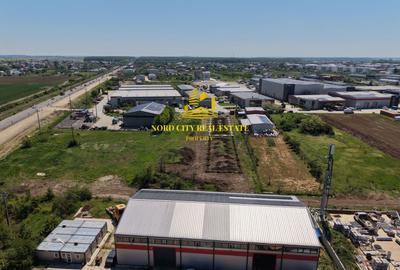 HALA INDUSTRIALA NOUA 550 MP - Sos Centura | MAGURELE – ILFOV | - 13