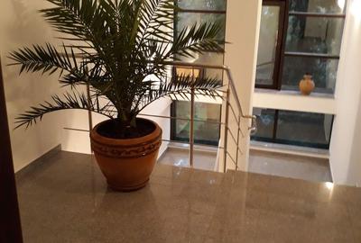 Birouri | 5 camere de închiriat | Zona Herastrau - 8