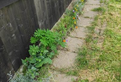 Teren cu cabana de vanzare - 3