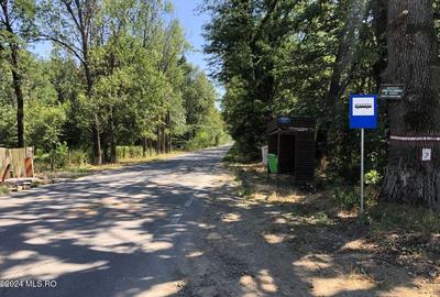 Moara Vlasiei - langa Padurea Biglaru, 11.884 mp, deschidere 40 ml! - 7