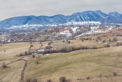 Teren Construcții intravilan de 5602 mp, în Tohanu Nou