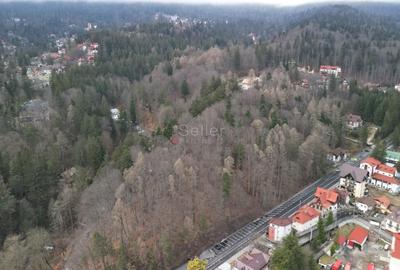 Teren in vecinatatea Castelului Peles - SINAIA - 20