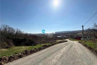 Teren Construcții intravilan de 500 mp, în Goruni