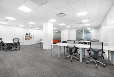 Birou, 11 mp în Plevnei