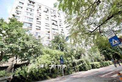 DRUMUL TABEREI-VLADEASA, GARSONIERA MOBILATA, APROAPE DE METROU, 0% COMISION! - 18