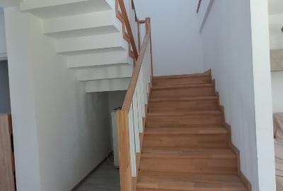 Închiriez casă spațioasă, cu curte generoasă, gazon, pomi, sector1, Henry Coandă - 7