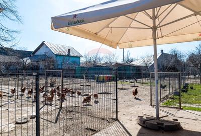 Afumati - vanzare casa si anexe cu teren intravilan, suprafata 700 mp - 27