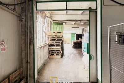 Hala industriala de vanzare Arad – 589 mp - 1
